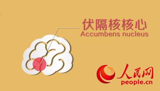 ҕ�l�؈D�����w���X�����˺���