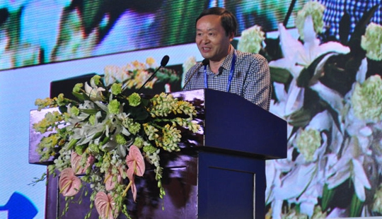 �����Ո�����W����݋ �����