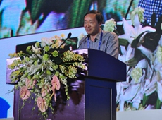 �����Ո�����W����݋ �����