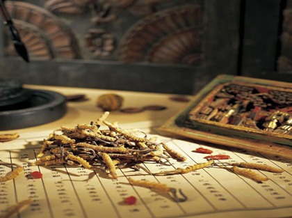 �����lչ ���d���t�������ڡ����A���񹲺͇����tˎ����7��1�Ռ�ʩ֮�H�������ߣ���֮��Ҳ��7��1�գ������A���񹲺͇����tˎ������ʽ��ʩ�����tˎ�I���M�������lչ�������Ěvʷ�r�ڡ������@�����r���Ї���ɫ���Ї��L����ИI�؄e������ȫ�������·������tˎ�I������ӌ��`���Ǉ��҈Զ��lչ���tˎ���������_����ͬһ�����������Ƴ��Ƽs���tˎ�lչ������ƶ��������������cҎ�����أ������c���¼������ѭ���tˎ�lչҎ�ɣ�����ʬF�����}���w�F�������ߵĴ��ǻ��c���⡣�������֣������ڼ硣�ʴ_�������tˎ�������|���Ԝʡ���͸����ԭ�⣬����؞�،�ʩ�����tˎ�����Ƅ����tˎ�I��Խʽ�lչ����Ԕ����