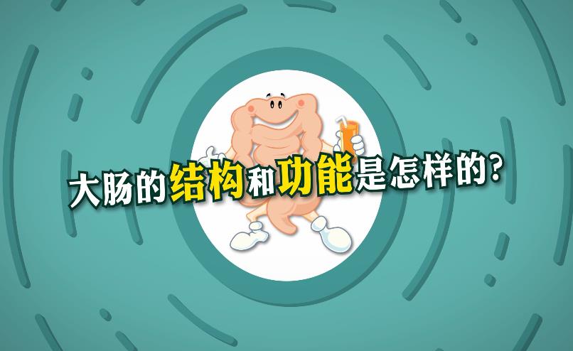 20:15	            		31	            		cĽY͹ӵģ