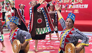 �����赸չʾ�������