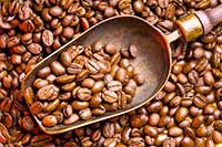 咖啡豆殼減輕與胖相關(guān)炎癥