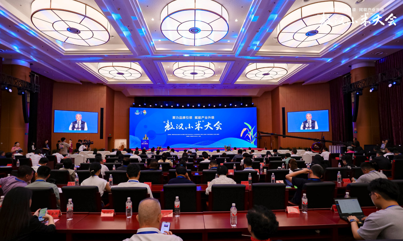 “敖漢小米”大會現場。